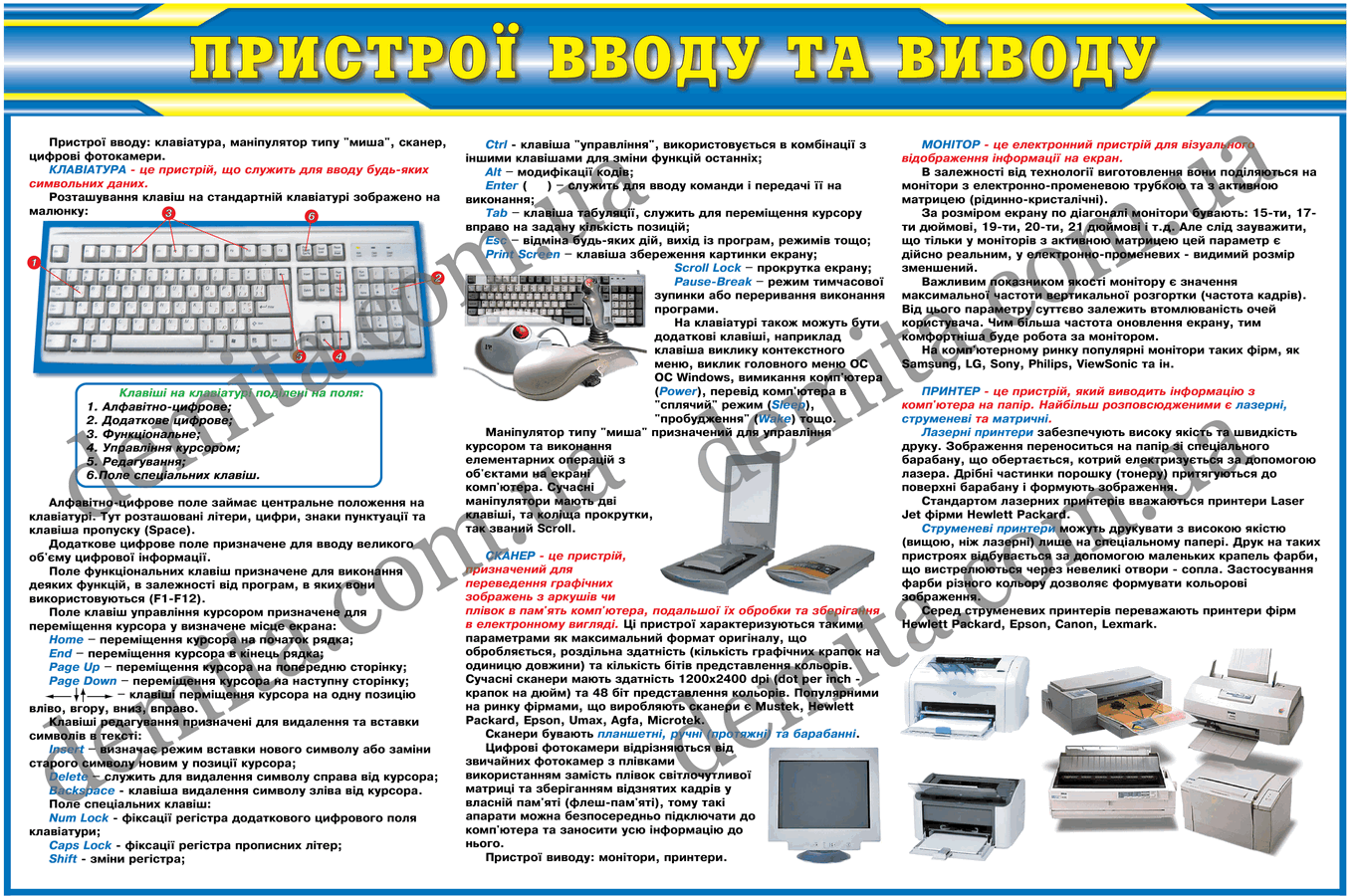 0875. Пристрої вводу та виводу.