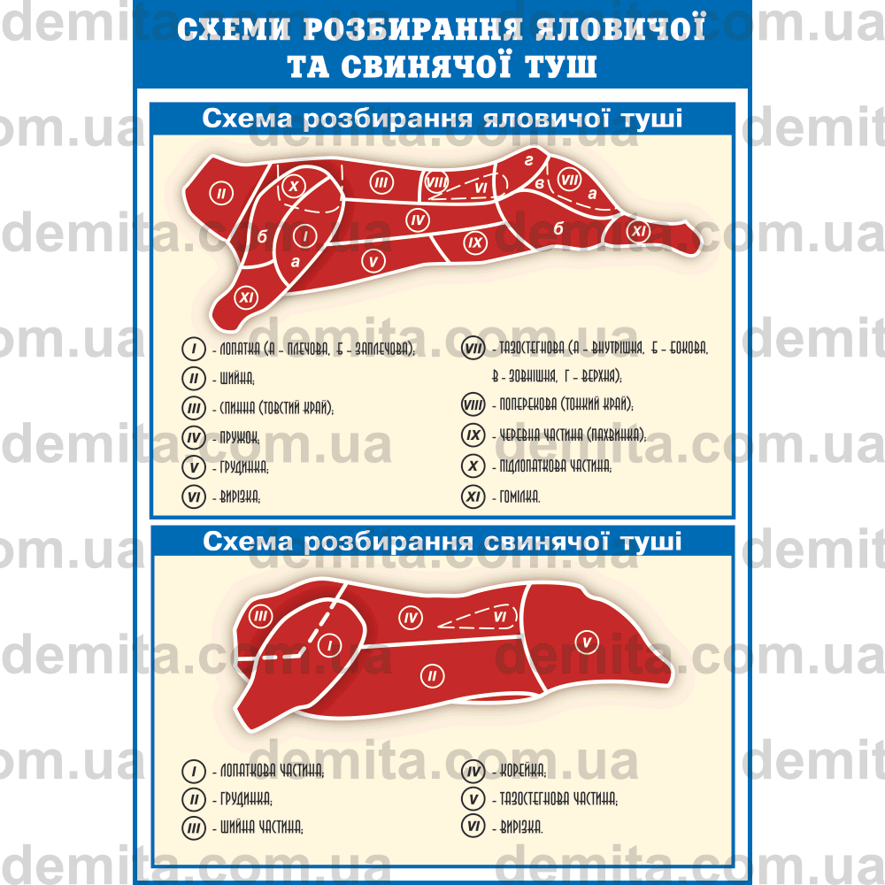 0969. Схеми розбирання яловичої та свинячої туш.