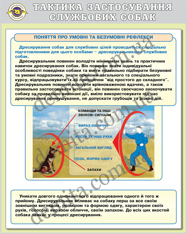 1117. Тактика застосування службових собак.