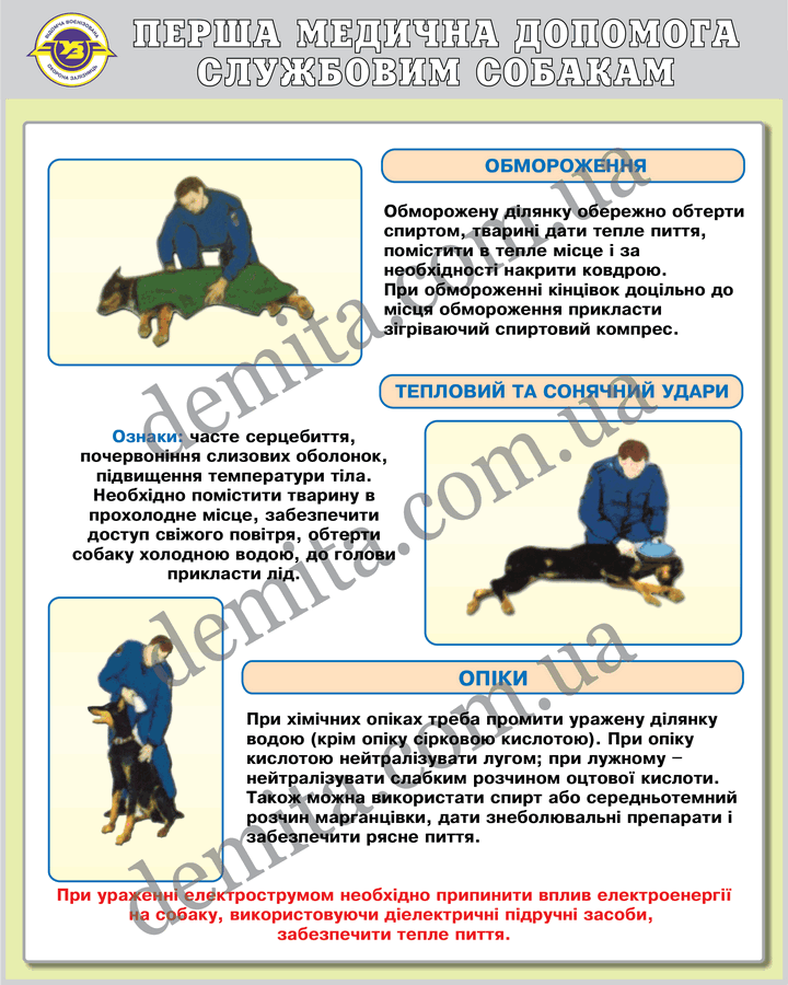 1119. Перша медична допомога службовим собакам.