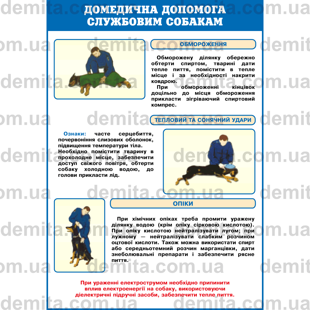 1119. Домедична допомога службовим собакам.