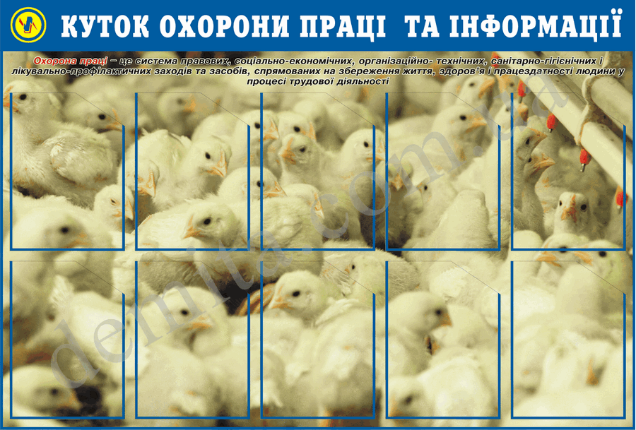 2016. Куток охорони праці та інформації (850х1250 мм).