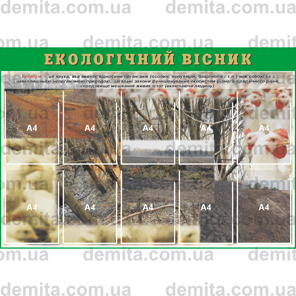 2017. Куток «Екологічний вісник» (850х1250 мм).