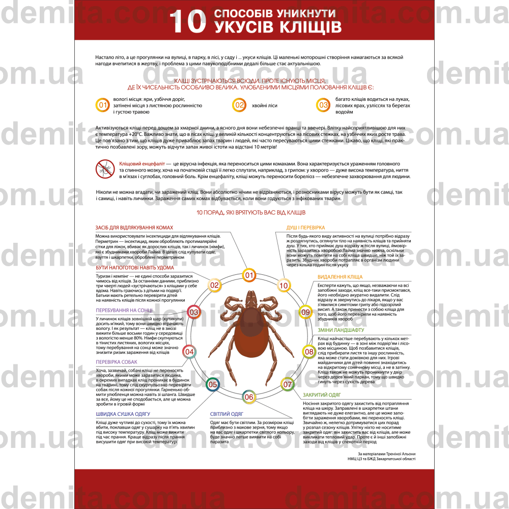 2279. 10 способів уникнути укусів кліщів.