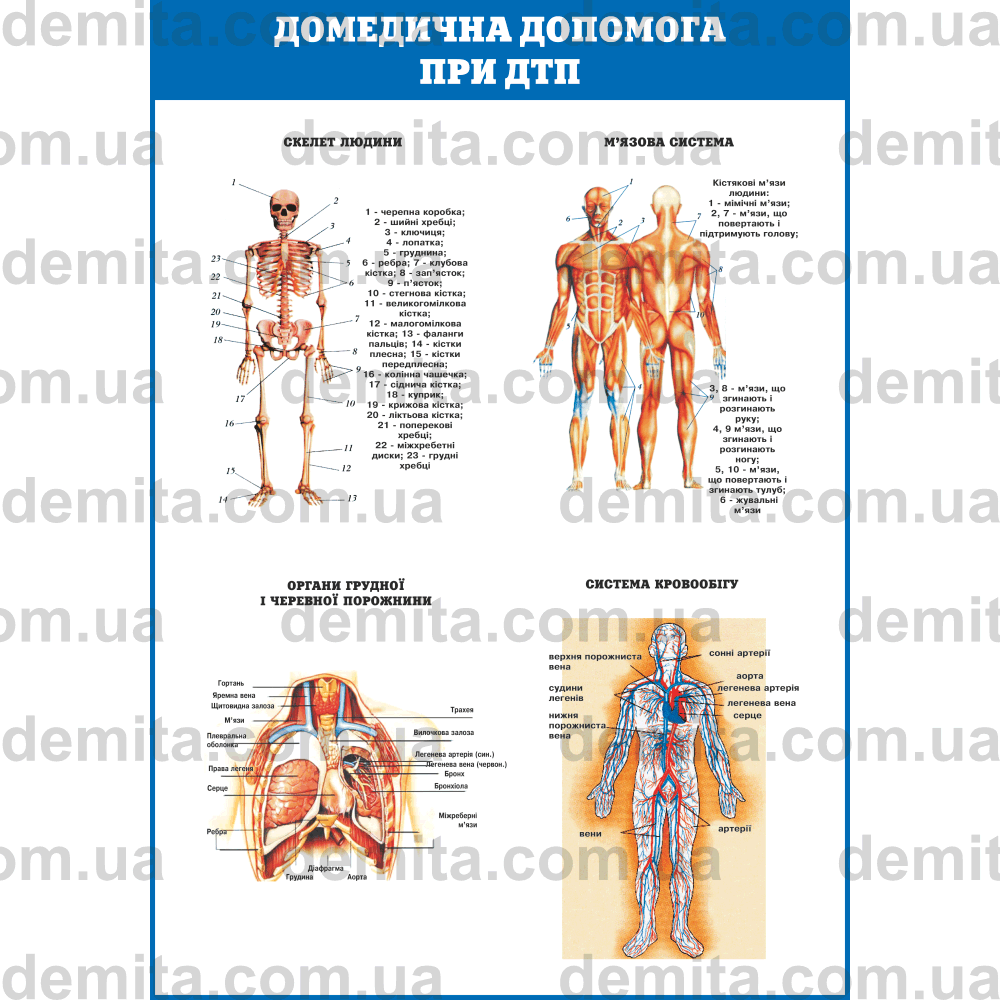 2470. Домедична допомога при ДТП.